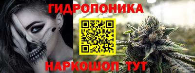 соль ск Гатчина
