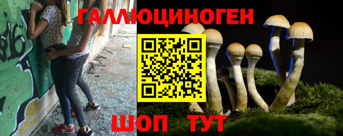 Псилоцибиновые грибы прущие грибы  Вход с VPN  Набережные Челны 