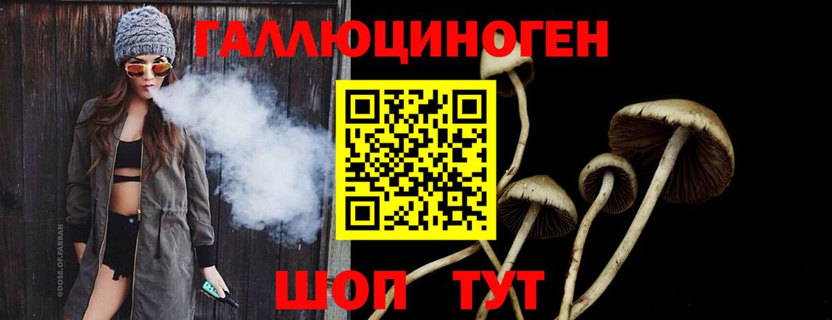 Галлюциногенные грибы Cubensis Набережные Челны